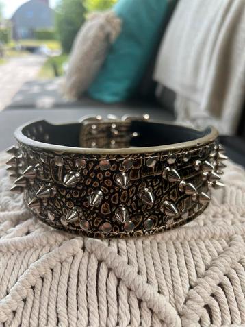  Luxe Studded honden Halsband – voor de echte powerdog beschikbaar voor biedingen