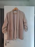 Beige colbert met bijpassende broek, Kleding | Dames, Blouses en Tunieken, Ophalen of Verzenden, Gedragen, Maat 46/48 (XL) of groter