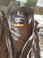 Superdry jack (tussenjas), Ophalen of Verzenden, Gedragen, Maat 48/50 (M), Groen