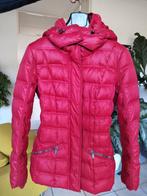 EDC Esprit dons en veren winterjas maat L, Kleding | Dames, Wintersportkleding, Ophalen of Verzenden, Zo goed als nieuw, Maat 38/40 (M)
