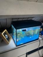 Aquarium met pomp, Ophalen of Verzenden, Zo goed als nieuw, Leeg aquarium