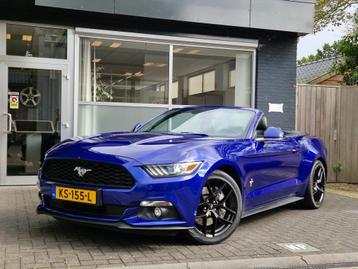 Ford Mustang Convertible 2.3 EcoBoost NIEUWSTAAT / FULL OPTI beschikbaar voor biedingen