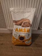 Kitten brokken IAMS 1 tot 12 maanden, Dieren en Toebehoren, Ophalen, Kat