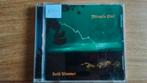 Cd Beth Wimmer  -  Miracle girl, Ophalen of Verzenden, 1980 tot heden, Zo goed als nieuw, Jazz