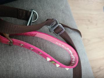 Honden halsband  roze goede staat gebruikt  beschikbaar voor biedingen