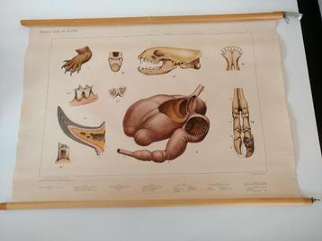 wandkaart van aan de rivier (titel)  98x68 zonder stok beschikbaar voor biedingen