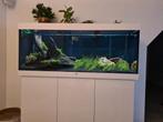 Juwel rio 450, Dieren en Toebehoren, Ophalen, Zo goed als nieuw, Leeg aquarium