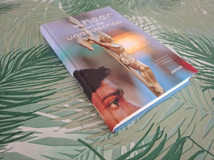 DE HEER VAN DE VRIENDSCHAP - J. Haers (Spiritualiteit), Boeken, Esoterie en Spiritualiteit, Zo goed als nieuw, Achtergrond en Informatie