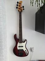 5 snarige basgitaar Cort, Muziek en Instrumenten, Snaarinstrumenten | Gitaren | Bas, Ophalen, Gebruikt, Elektrisch, 5-snarig