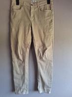 Nieuwe lichtbruine stretch broek Miss Etam, maat S/36, Kleding | Dames, Broeken en Pantalons, Bruin, Miss Etam., Nieuw, Ophalen of Verzenden
