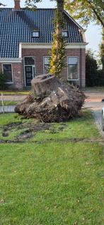 Boomstronk gratis af te halen, Tuin en Terras, Ophalen of Verzenden