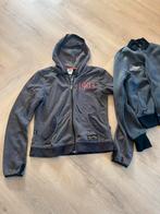 Te koop 2 dames vesten Harley Davidson, Ophalen of Verzenden, Gedragen, Maat 38/40 (M), Overige kleuren