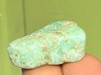 Chrysopraas broekzaksteen mineralen, Ophalen of Verzenden, Mineraal