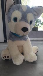 Hele grote XXL pluche knuffel, hond / husky Lichtblauw, Ophalen of Verzenden, Zo goed als nieuw, Hond