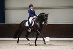 Zware tour instructrice, Diensten en Vakmensen, Dieren | Paarden | Verzorging, Oppas en Les