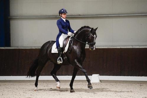 Zware tour instructrice, Diensten en Vakmensen, Dieren | Paarden | Verzorging, Oppas en Les