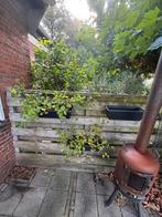 3 x hang plantenbakken antraciet 49 cm + waterreservoir, Kunststof, Minder dan 30 cm, Balkon, Minder dan 60 cm