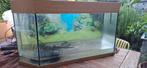 Juwel 180L aquarium met toebehoren (100 x 50 x 40), Ophalen, Gebruikt, Leeg aquarium
