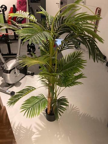 Kunstplant palm 132cm hoog beschikbaar voor biedingen