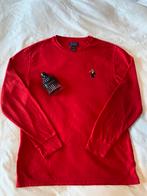 Polo Ralph Lauren – Rode longsleeve met “Polo Bear” logo, Kleding | Heren, Maat 52/54 (L), Ralph Lauren, Ophalen of Verzenden