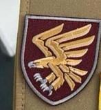 95ste air assault brigade patch, Overige gebieden, Ophalen of Verzenden, P4U, 2215sk
