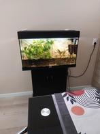 Juwel rio 125  met meubel etc., Dieren en Toebehoren, Ophalen, Gebruikt, Leeg aquarium