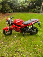 BLACKFRIDAY ACTIE €600.- Leike Hornet - Gilara DNA kappen, Fietsen en Brommers, Ophalen, Gebruikt, Maximaal 45 km/u, Benzine