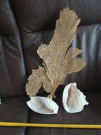 Zeer mooi ..bieden..1koop, Verzamelen, Mineralen en Fossielen, Ophalen, Mineraal