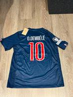PSG 25/26 Thuisshirt Dembele met champions league logo, Maat M, Ophalen of Verzenden, Nieuw, Shirt