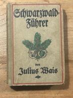 Wandelgids  Schwarzwaldführer 1922, Europa, Ophalen of Verzenden, Gelezen, Overige merken