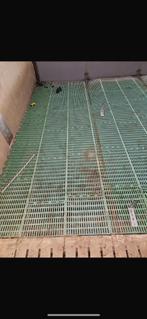 Roosters paddock paarden  100/40 cm, Dieren en Toebehoren, Stalling en Weidegang, Weidegang, 4 paarden of pony's of meer