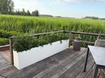 plantenbakken, Info@plantenbakkenvanstaal.nl, Plantenbakken van Staal, Minder dan 60 cm, Vierkant