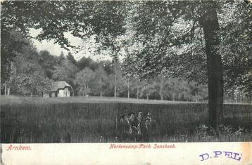 (387-162-013) Arnhem Hertenkamp beschikbaar voor biedingen