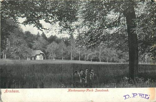 (387-162-013) Arnhem Hertenkamp, Verzamelen, Ansichtkaarten | Nederland, Gelderland, Verzenden