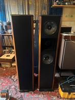 Duntech Viceroy C2000 classic series, Gebruikt, Onbekend, Onbekend, 120 watt of meer