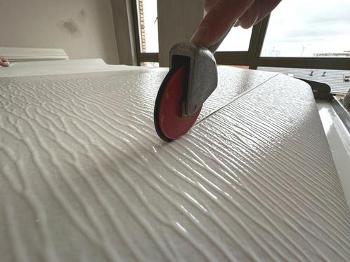 Hentex Renovlies & Sausen 9010 pm2 va, Diensten en Vakmensen, Schilders en Behangers, Behangen, Binnenschilderwerk, Buitenschilderwerk