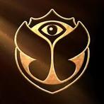 Tomorrowland ticket zondag 27/7, Tickets en Kaartjes, Evenementen en Festivals, Eén persoon