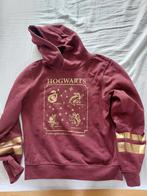 Harry Potter hoodie maat 158/264, Kinderen en Baby's, Meisje, Trui of Vest, Gebruikt, Ophalen of Verzenden