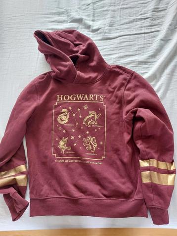 Harry Potter hoodie maat 158/264