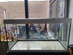 Juwel rio 350 wit met heliaxluc, Dieren en Toebehoren, Vissen | Aquaria en Toebehoren, Ophalen, Nieuw, Leeg aquarium
