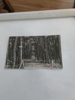 ERMELO. RUSTOORD BOSCH 1937, Verzamelen, Ophalen of Verzenden, 1920 tot 1940, Gelderland