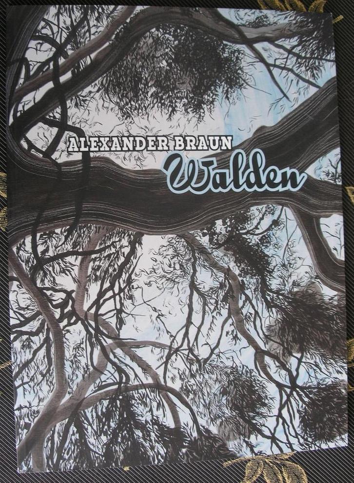 Alexander Braun - Walden -schilderijen, video's en foto's, Boeken, Kunst en Cultuur | Beeldend, Zo goed als nieuw, Ophalen of Verzenden