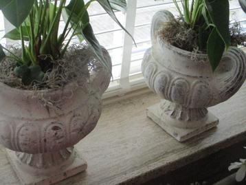 Franse Oorvaas , ( 2) v,a 35,00e beschikbaar voor biedingen