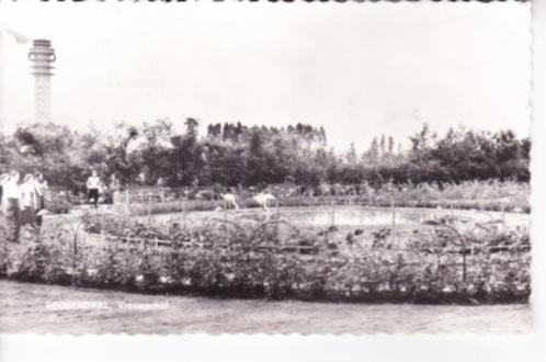 ROOSENDAAL,- Vrouwenhof. Achterzijde beschadigd. 31-07, Verzamelen, Ansichtkaarten | Nederland, Gelopen, Noord-Brabant, 1960 tot 1980