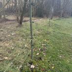 Weiland afrastering, Ophalen, Bloeit niet, Volle zon, Overige soorten