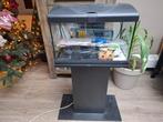 Aquarium., Dieren en Toebehoren, Vissen | Aquaria en Toebehoren, Ophalen, Gebruikt, Leeg aquarium