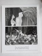 Pocahontas Foto, Disney, Niet beschikbaar, Ophalen of Verzenden, Zo goed als nieuw