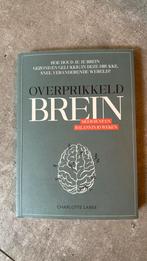 Charlotte Labee - Overprikkeld brein, Ophalen of Verzenden, Zo goed als nieuw, Charlotte Labee