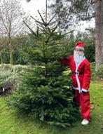 50 prachtige Nordmann kerstbomen in Eindhoven, Ophalen of Verzenden, Nieuw