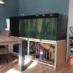 Aquarium, Dieren en Toebehoren, Vissen | Aquaria en Toebehoren, Ophalen, Gebruikt, Gevuld zoetwateraquarium